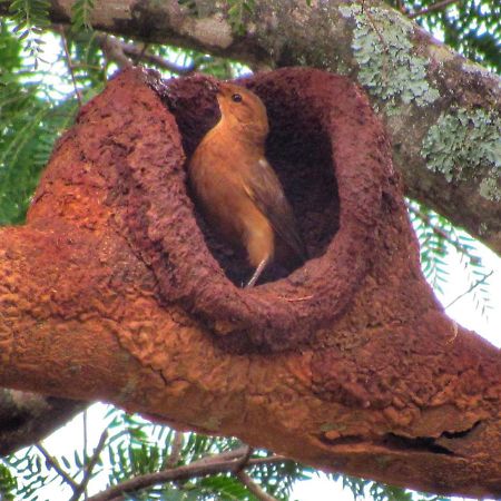 Pousada Mandalla Serra do Cipo National Park Eksteriør bilde