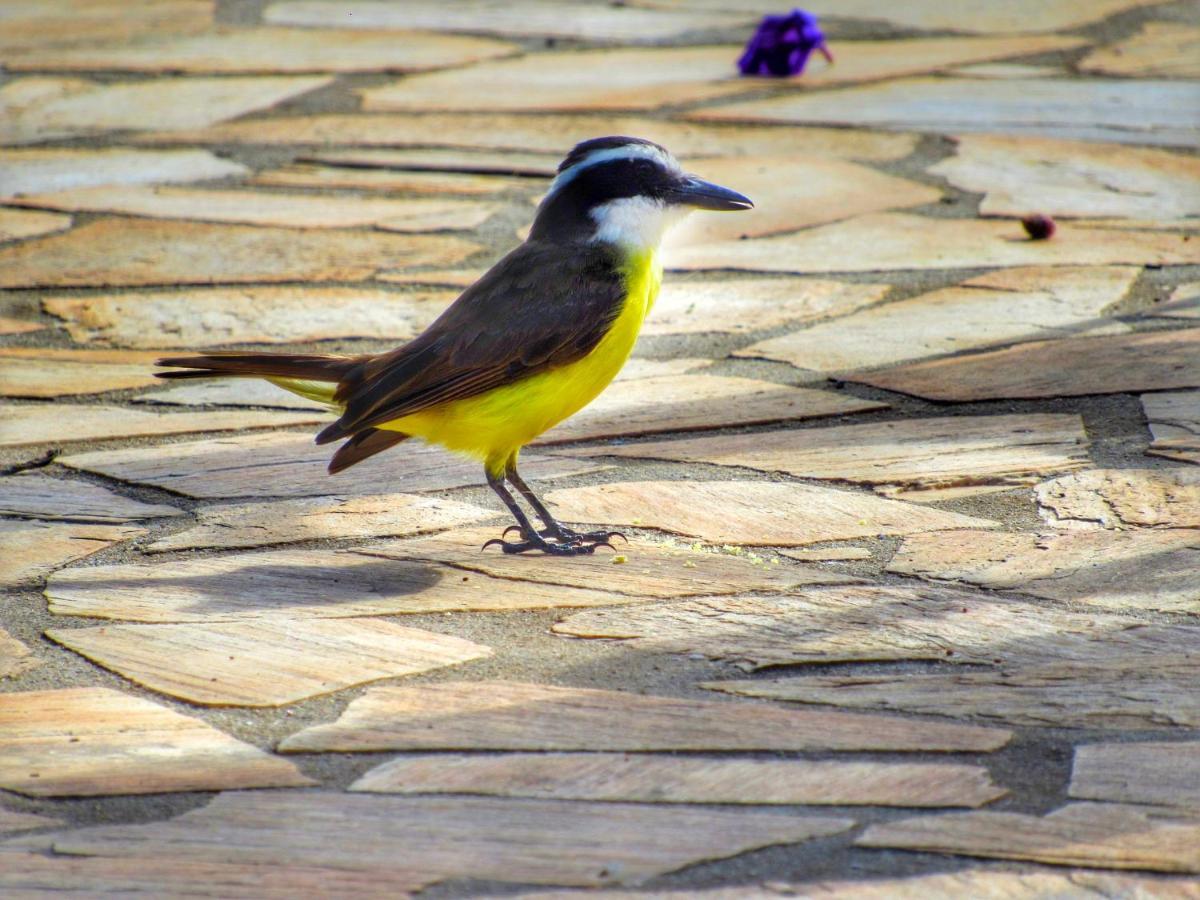 Pousada Mandalla Serra do Cipo National Park Eksteriør bilde