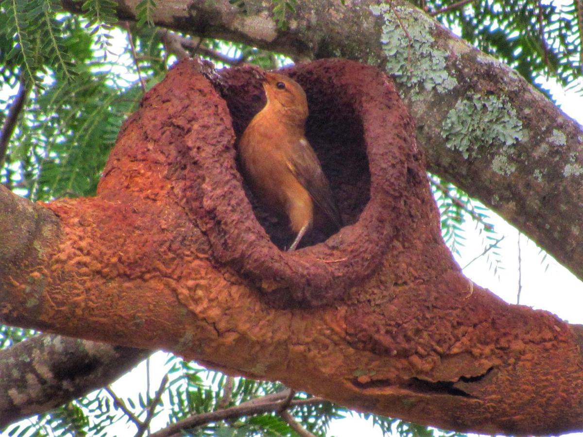 Pousada Mandalla Serra do Cipo National Park Eksteriør bilde