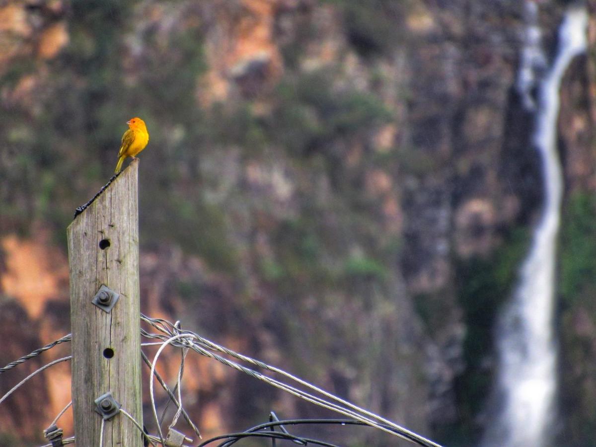 Pousada Mandalla Serra do Cipo National Park Eksteriør bilde